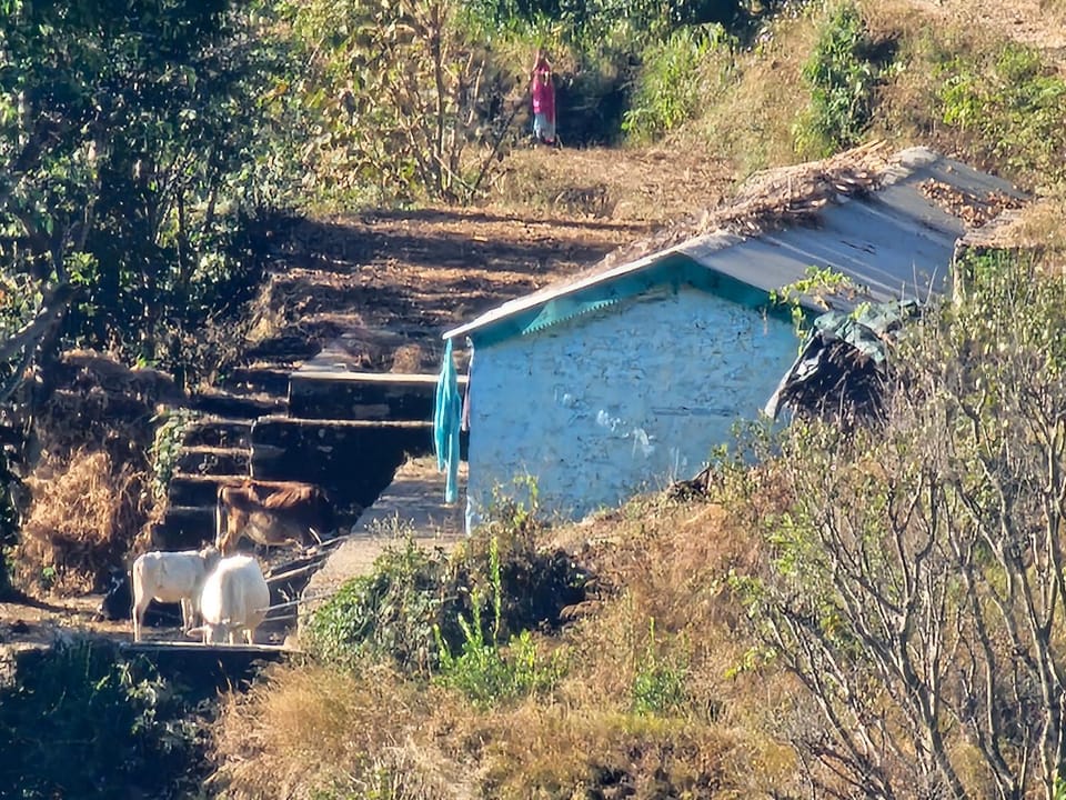Viva la vida Hotel in Uttarakhand