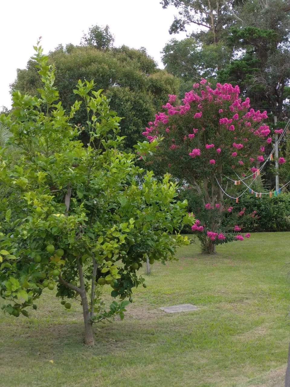 I rent a house in Balneario Las Flores - Maldonado House in Maldonado Department, Uruguay