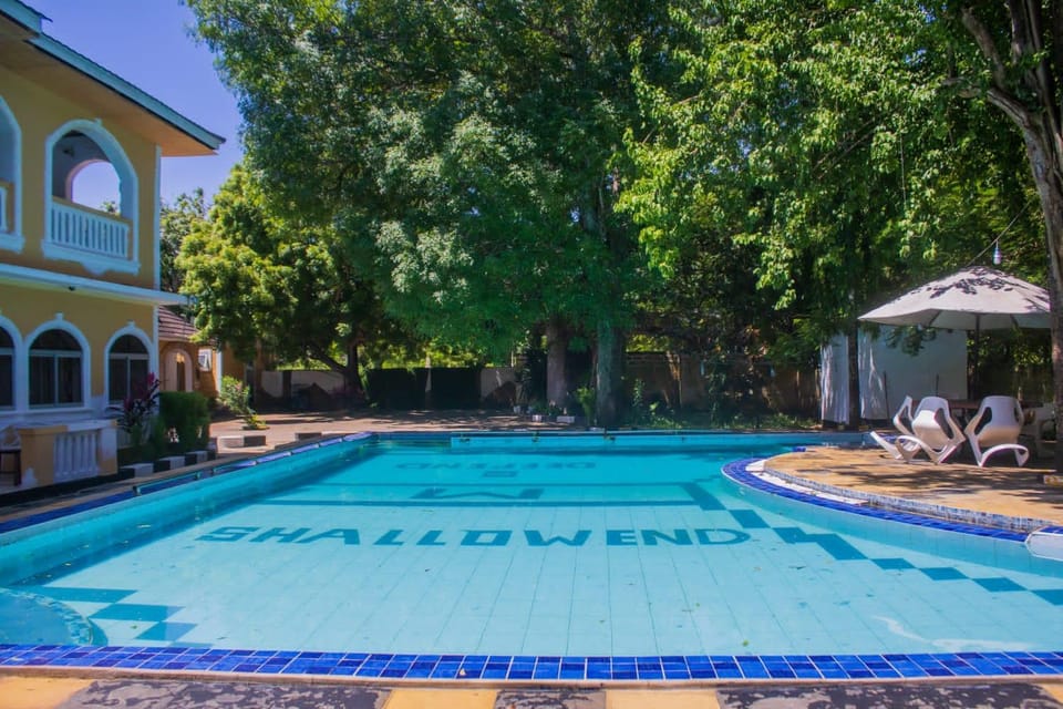 Pool view, Swimming pool