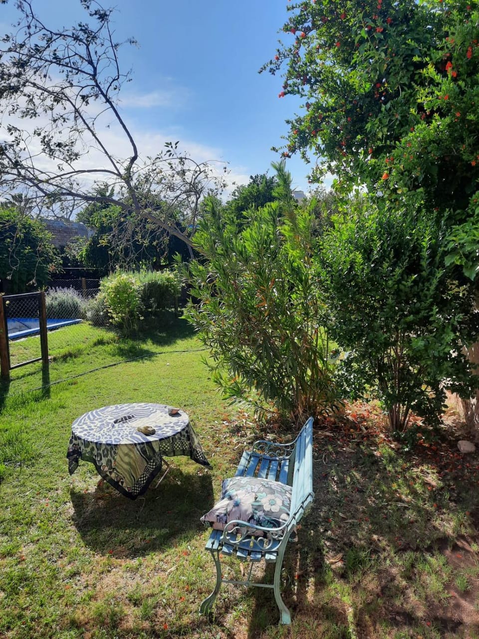 La Casa de Ana - un hogar para compartir Vacation rental in San Rafael