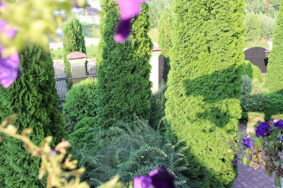 Zolota Pidkova Bed and Breakfast in Ukraine