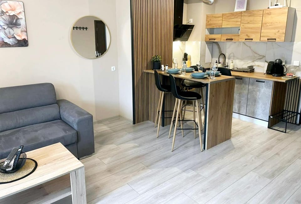 Two Modern Apartments in One Building by SI Stay Apartment in Bansko