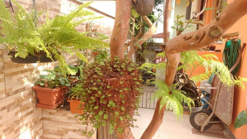 Suite for couples Apartment in Florianopolis