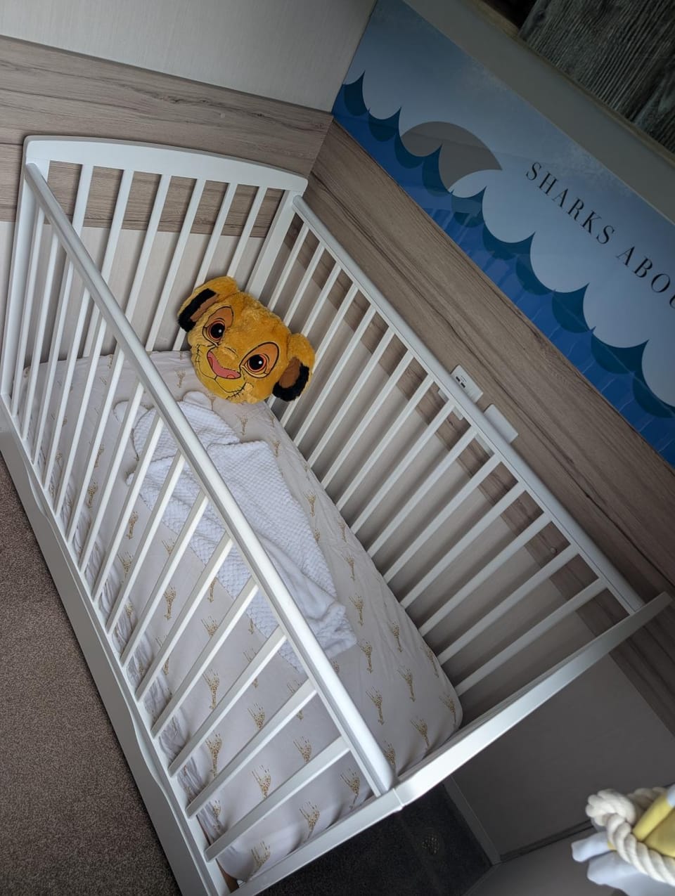 Bedroom, cot