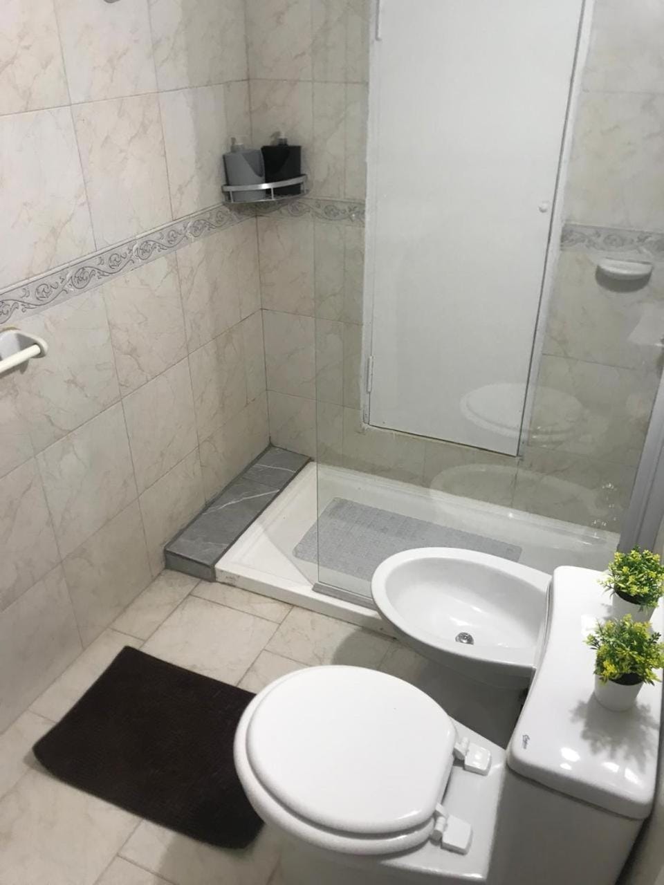 Shower, Toilet, Bathroom, bidet