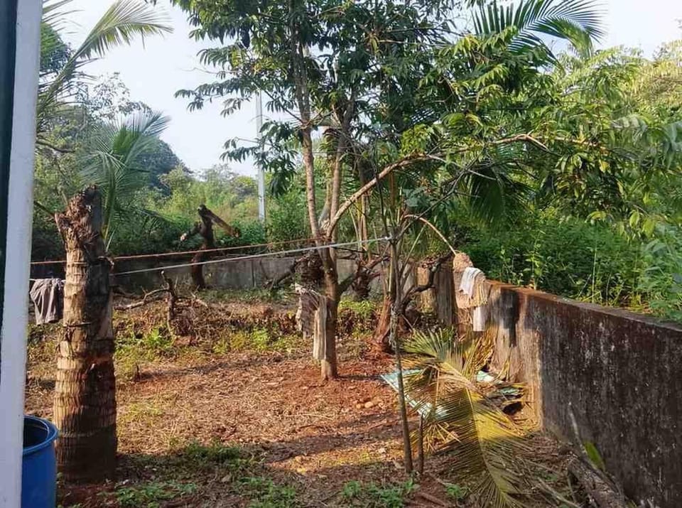Yellow Maple Villa in Goa, India
