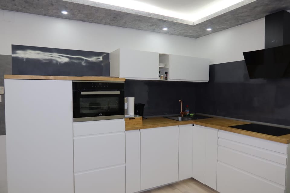 Kitchen or kitchenette, dishwasher, stove