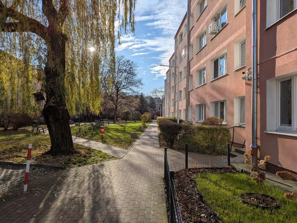 Neighbourhood, Garden view