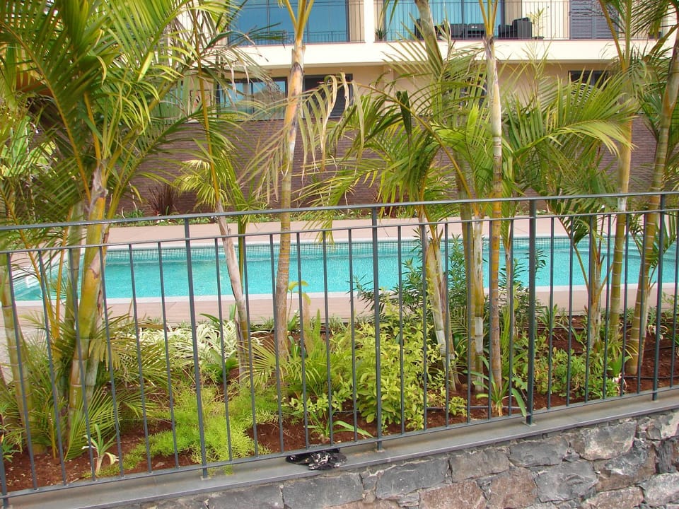 Garden, Swimming pool