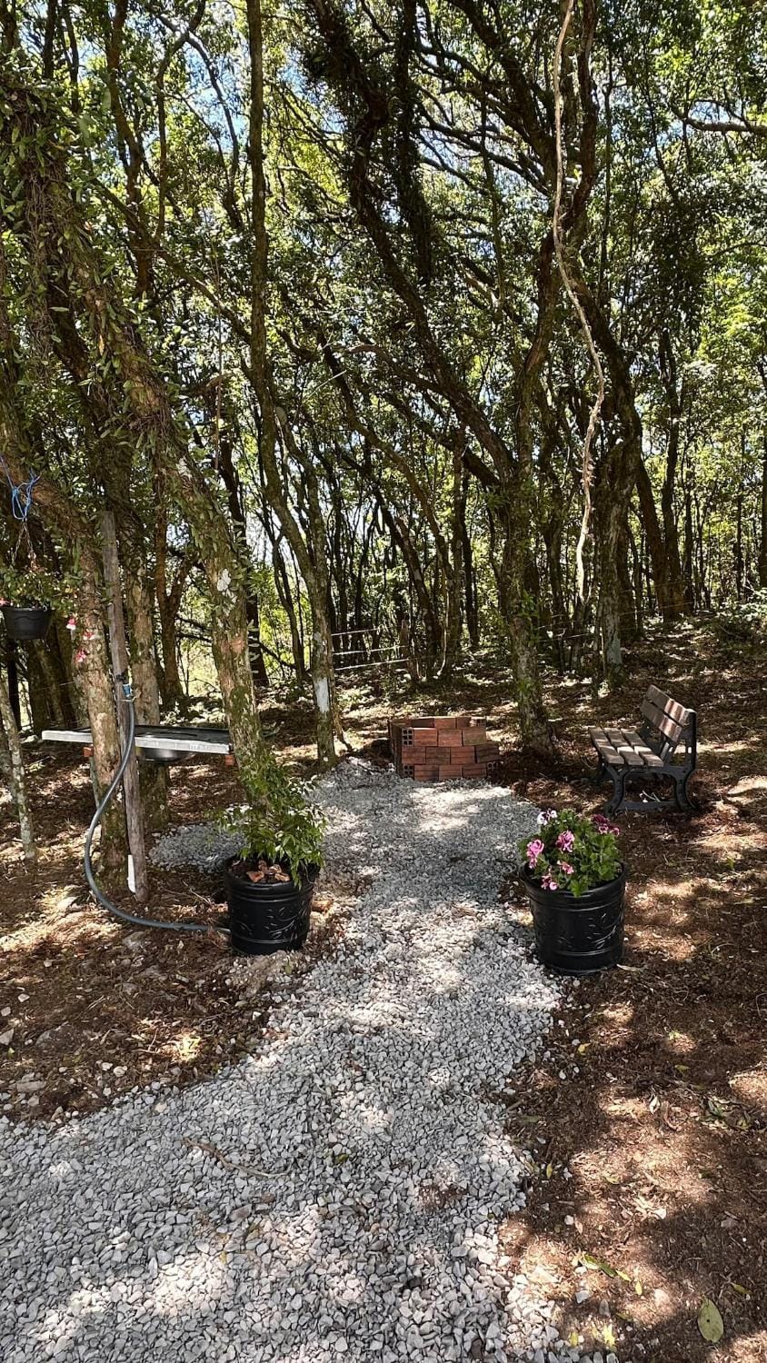 BBQ facilities, Garden