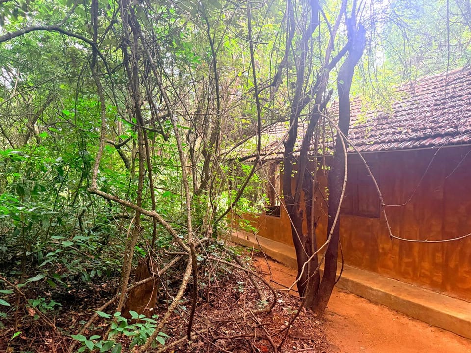 Kamatha Eco Lodge Nature lodge in Sri Lanka