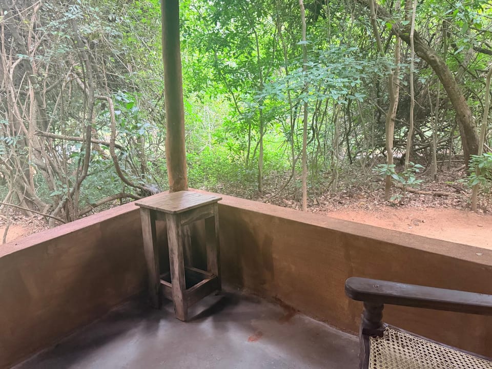 View (from property/room)