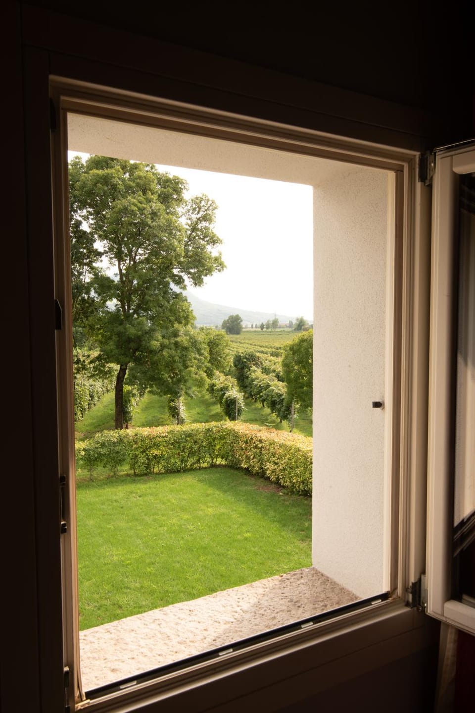 Azienda Vitivinicola Ca' Manin Apartment in Veneto