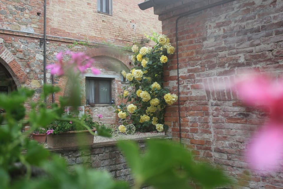 La Burraia di Anna House in Tuscany