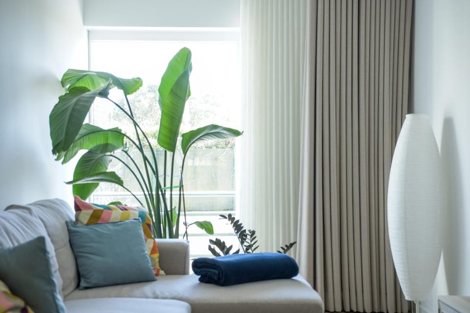 Slow Living Apúlia Apartment in Portugal