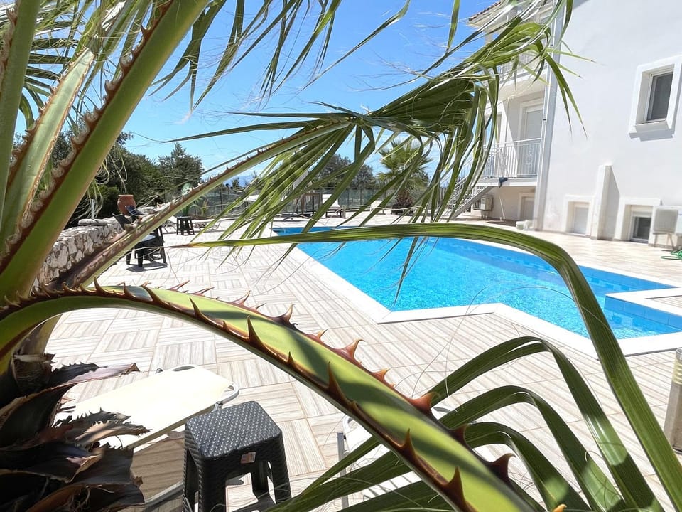 Property building, Patio, Day, Pool view, Swimming pool, sunbed