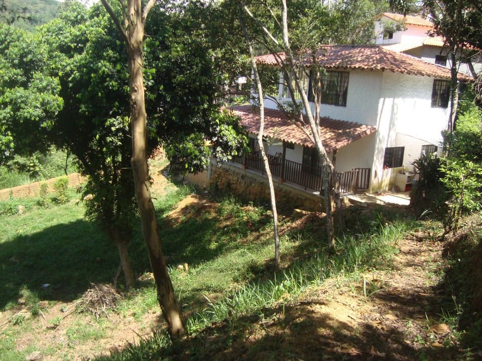 Natural landscape, Garden, Garden, Garden view