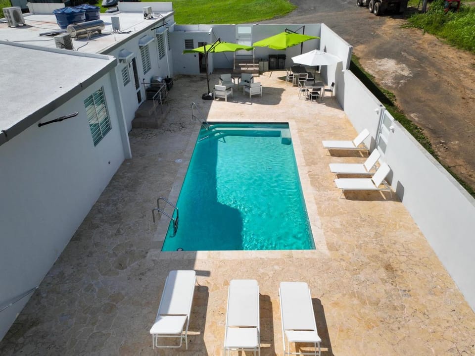 Patio, Pool view, Swimming pool, sunbed