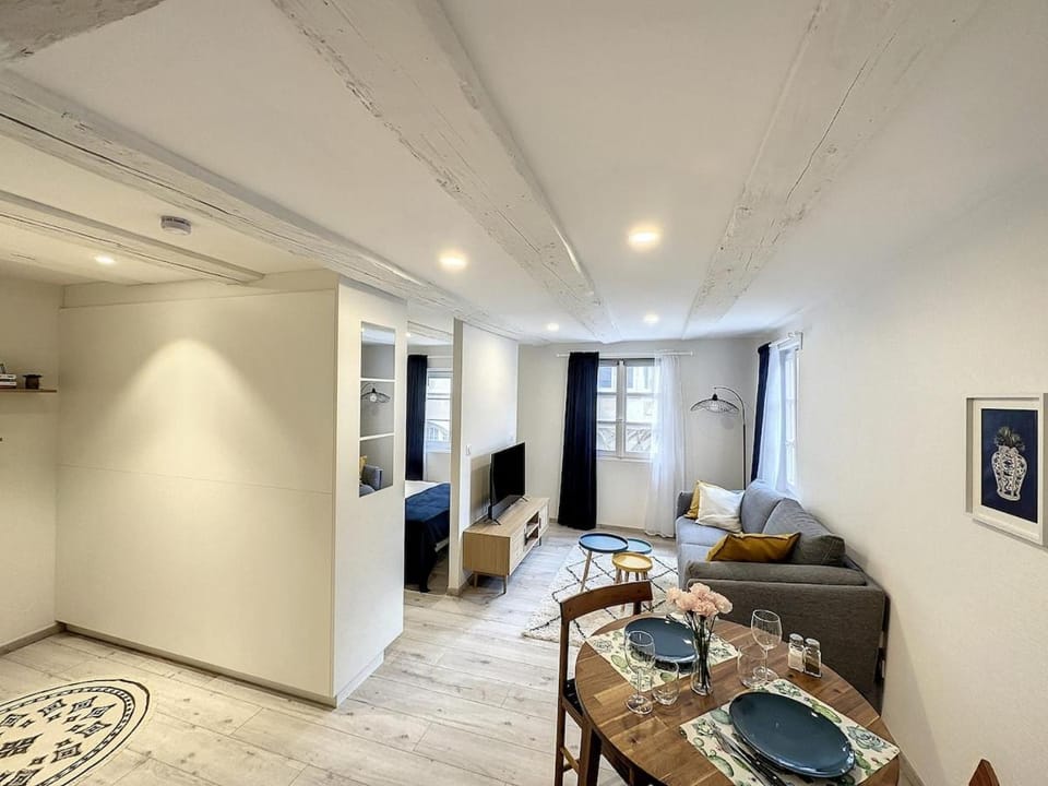 La Grenouillere Chic Appartement Centre Colmar Apartment in Colmar