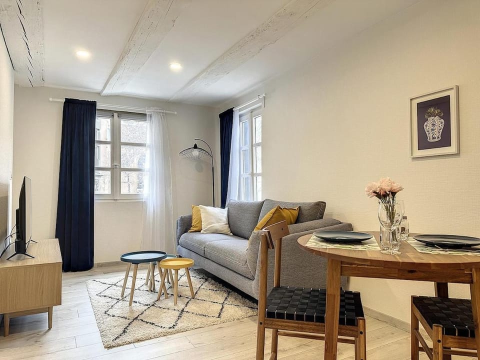 La Grenouillere Chic Appartement Centre Colmar Apartment in Colmar
