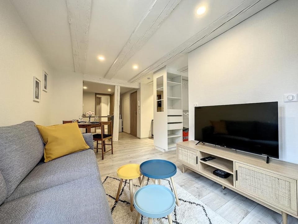 La Grenouillere Chic Appartement Centre Colmar Apartment in Colmar