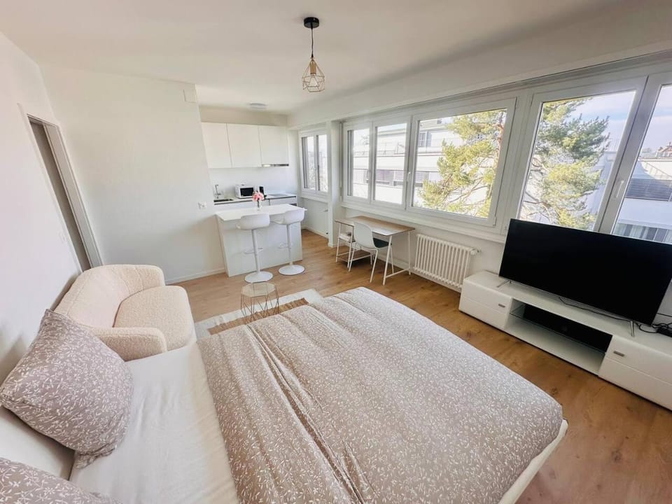 The Minimalist free Parking Apartment in Lausanne