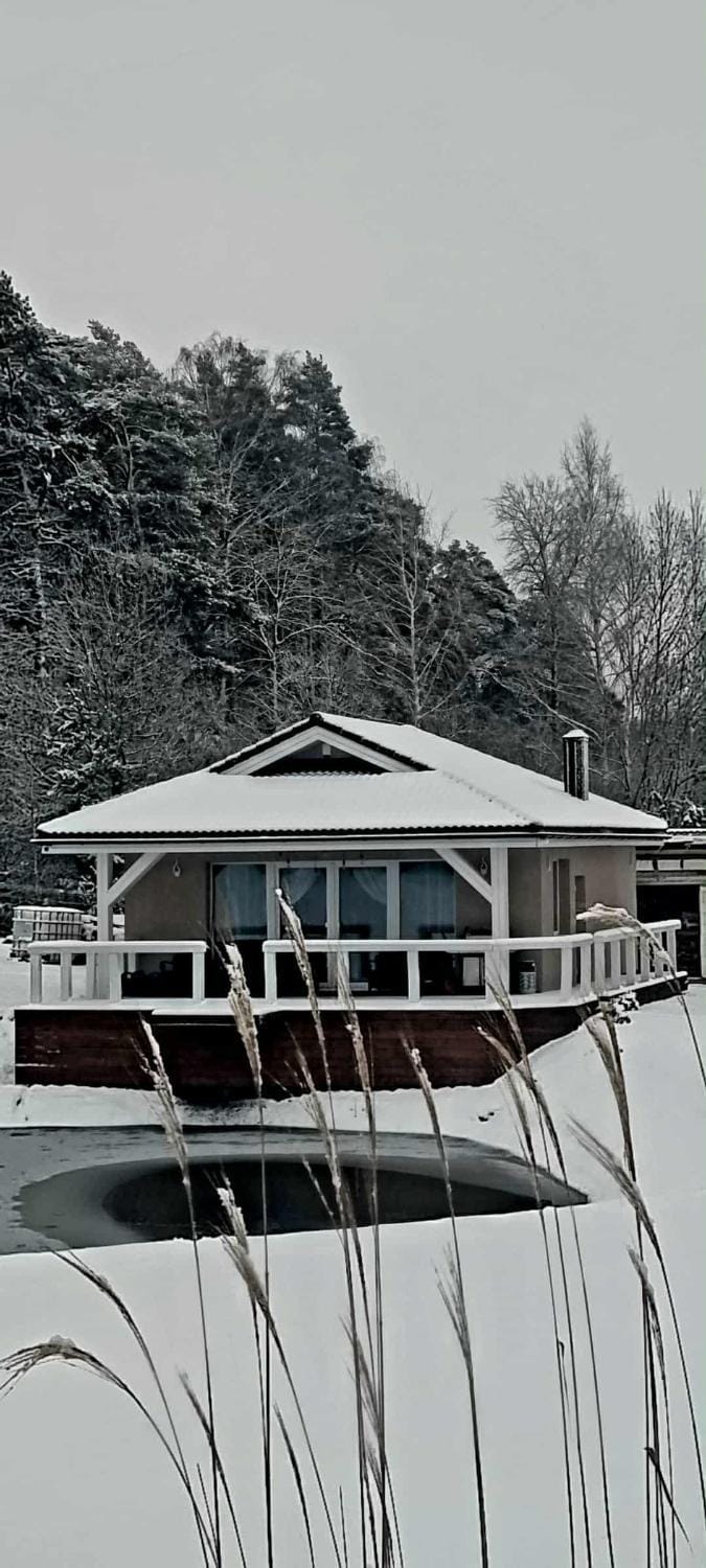 Lion Sauna House in Klaipėda County, Lithuania