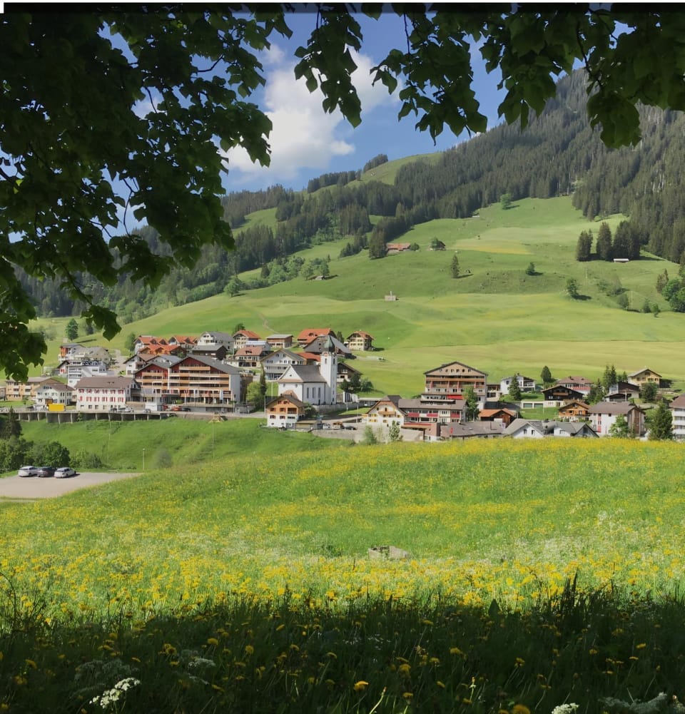 Natural landscape