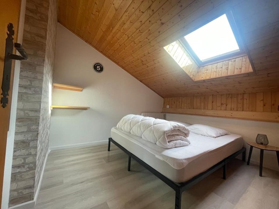 F3 Duplex 2 chambres 35m2 Multipass inclus Garage privé Apartment in Châtel