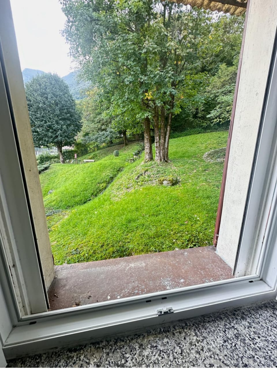 Garden view