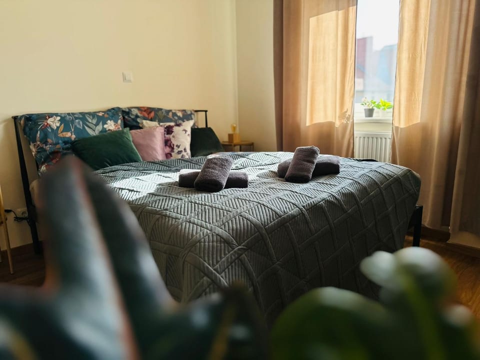 Bed, Photo of the whole room, Bedroom, towels