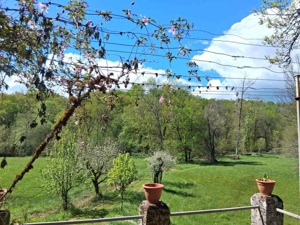 Demeure périgourdine, prairies et accès rivière House in Nouvelle-Aquitaine