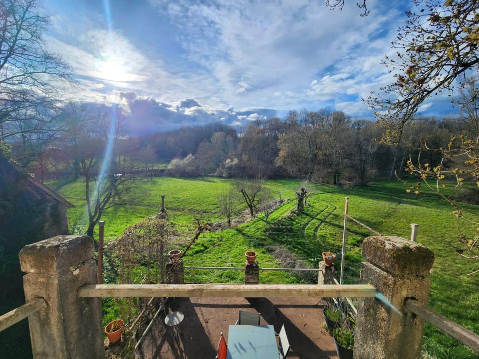 Winter, Garden view