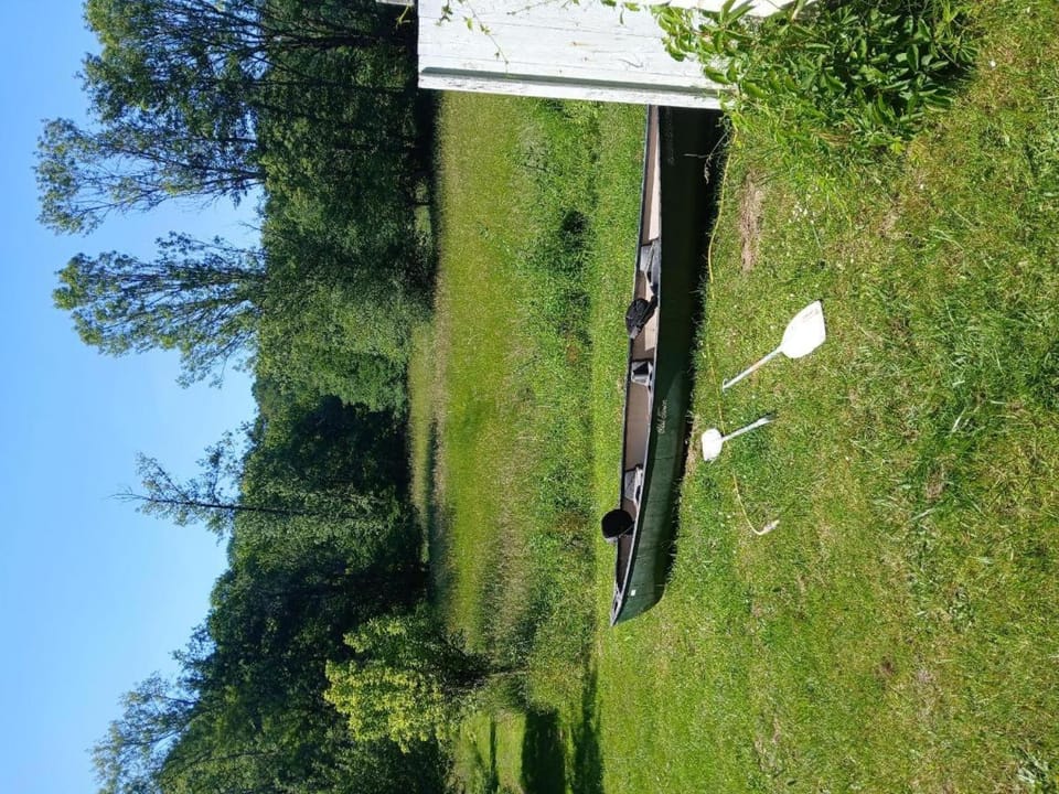 Demeure périgourdine, prairies et accès rivière House in Nouvelle-Aquitaine