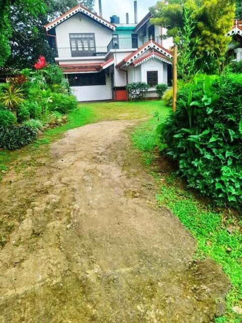 Property building, Garden, Garden view