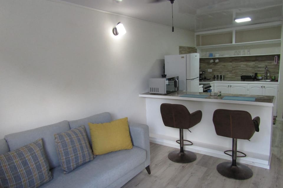 Kitchen or kitchenette, Living room, Seating area, Dining area, oven