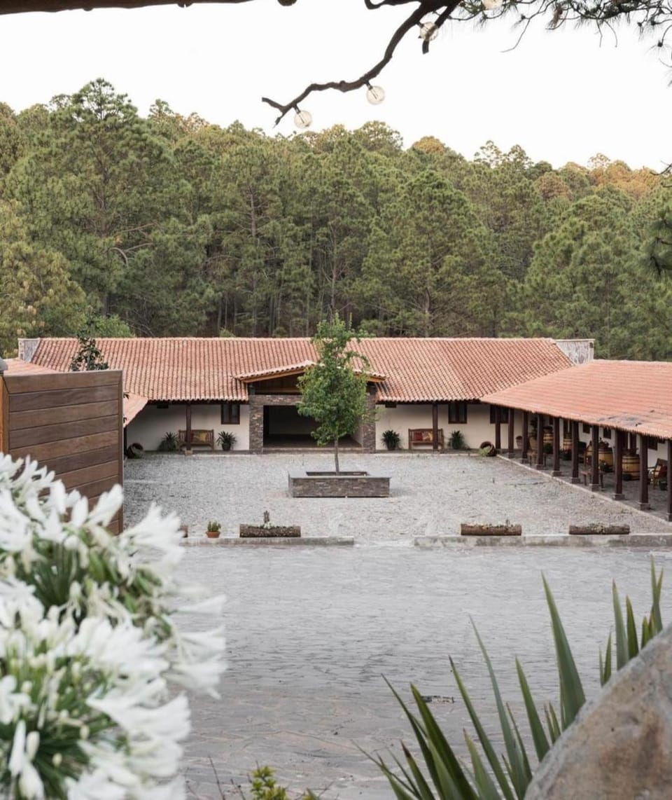 Property building, Natural landscape