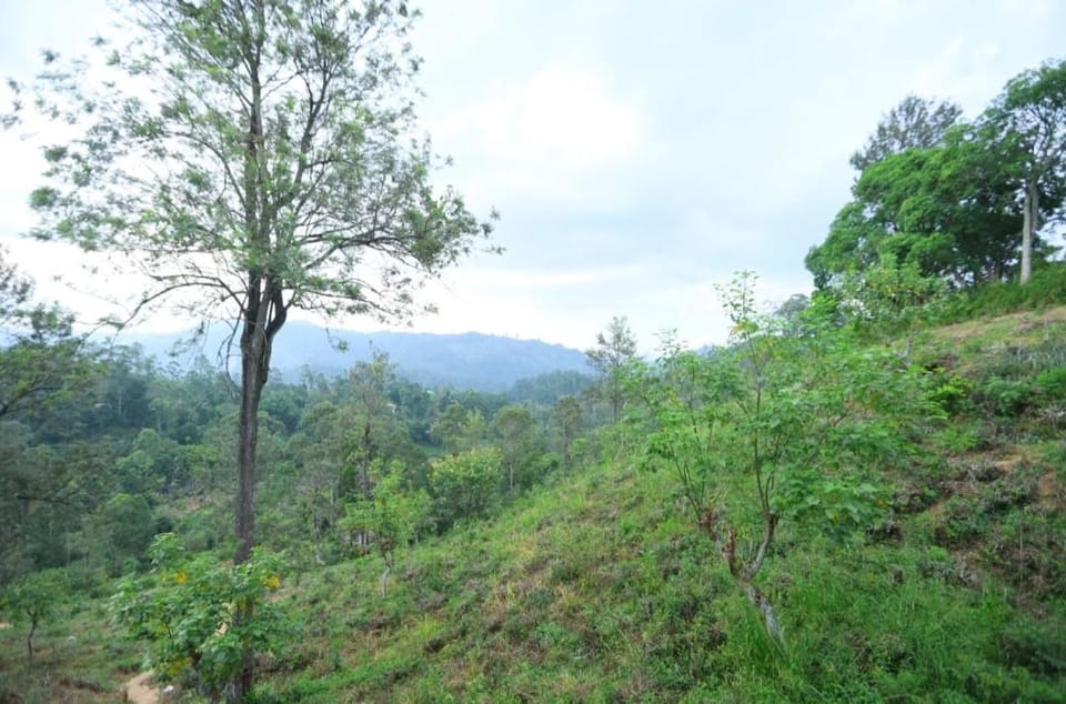 Natural landscape