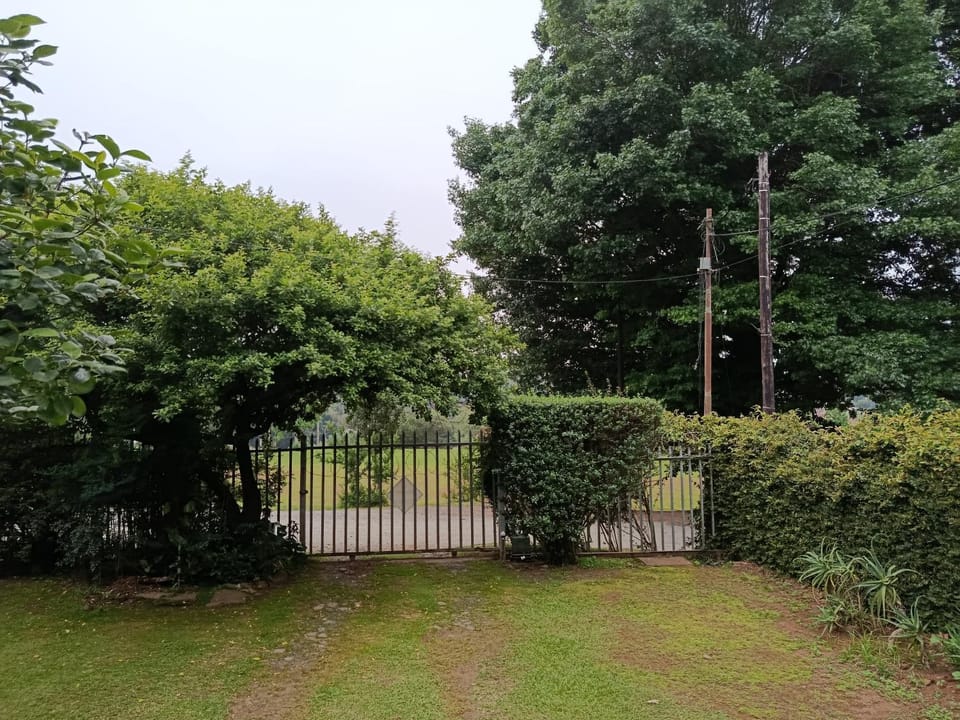 Natural landscape, Garden, Garden view