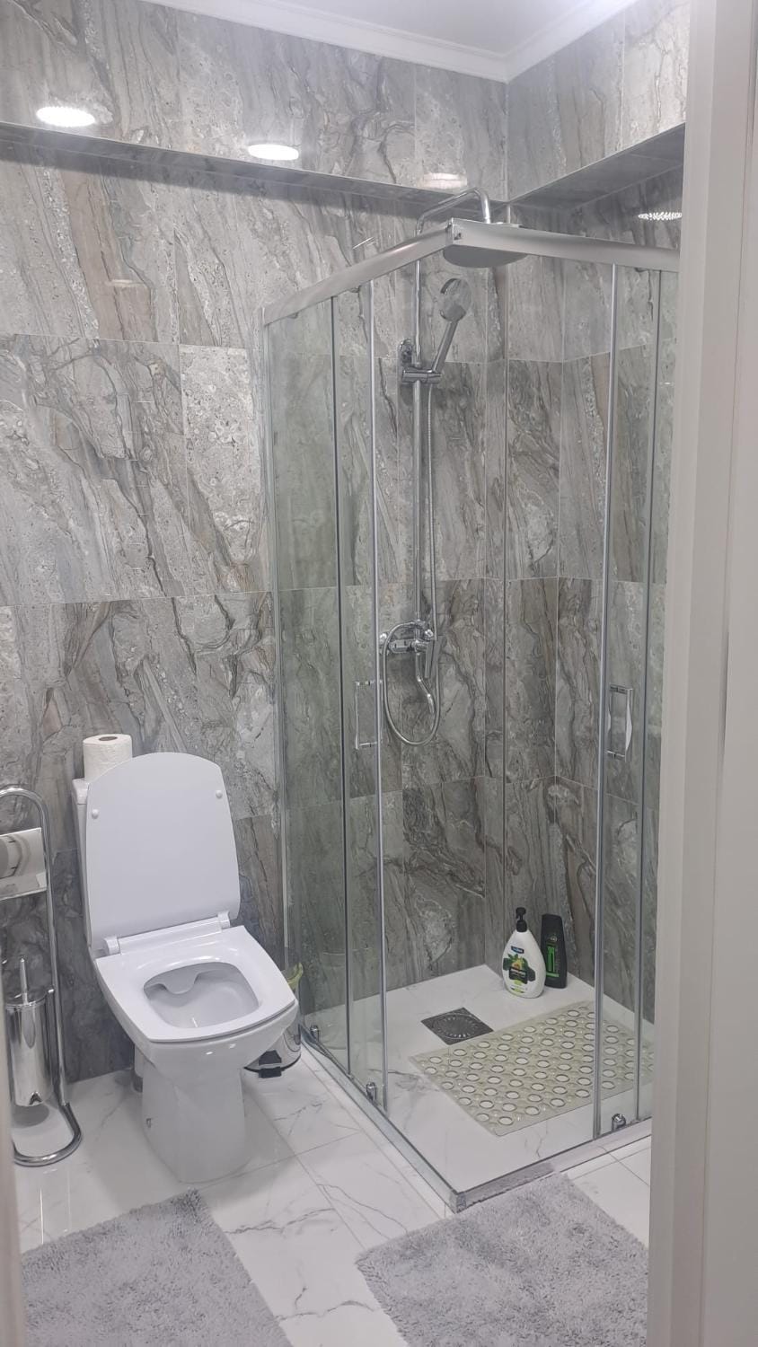 Shower, Toilet, towels