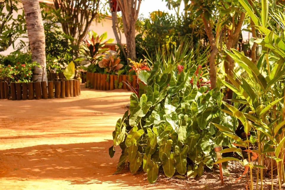 Pousada Villa Botânica Hotel in Canoa Quebrada