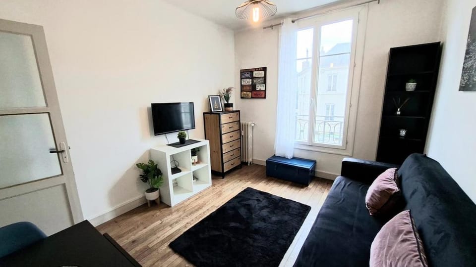 Cozy apartment, close to Gare du Mans Apartment in Le Mans