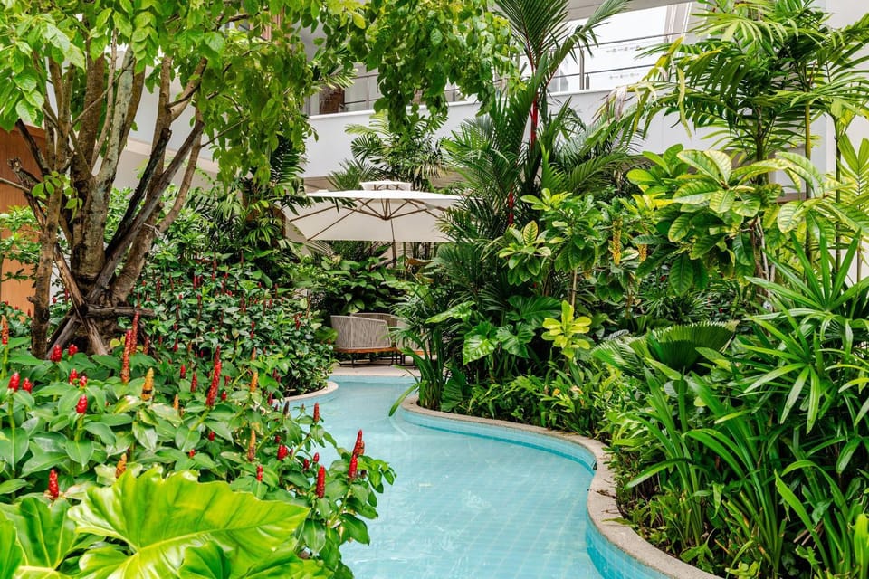 Natural landscape, Garden, Garden view, Swimming pool