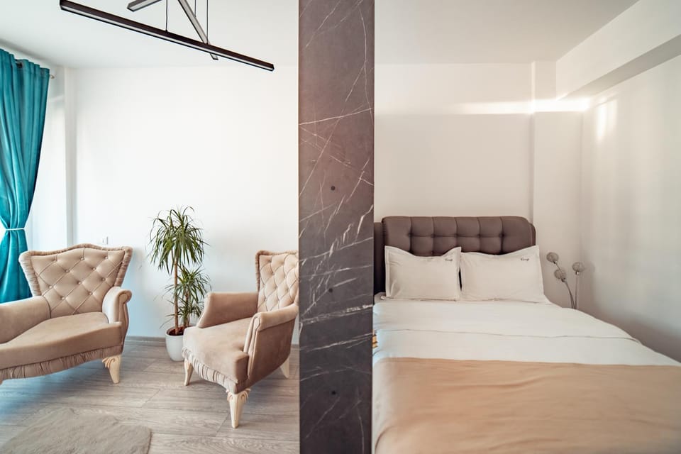 Bed, Living room, Photo of the whole room, Seating area, Bedroom