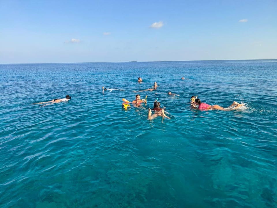 Activities, Beach
