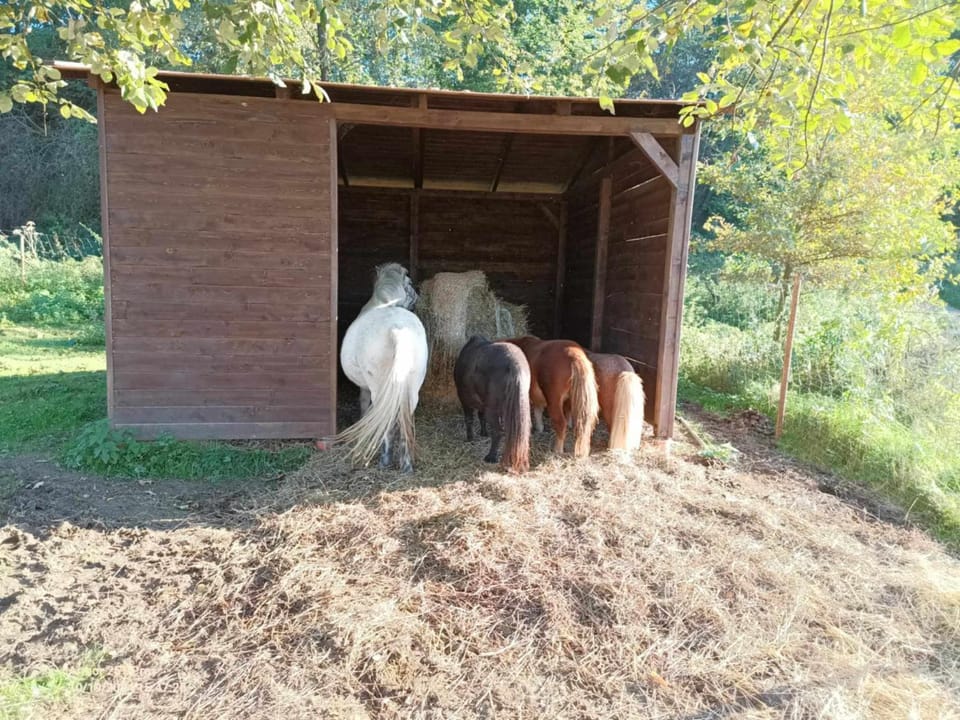 Agro Dolina Jamcito House in Lesser Poland Voivodeship
