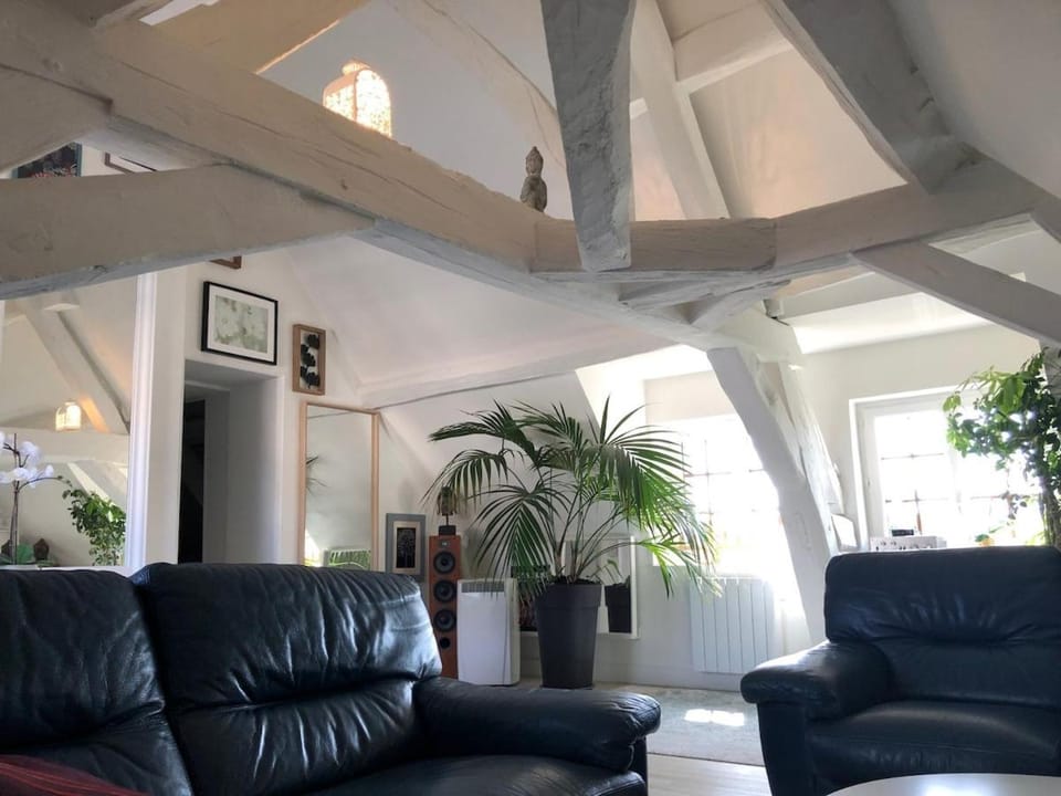 L'atypique Apartment in Dijon