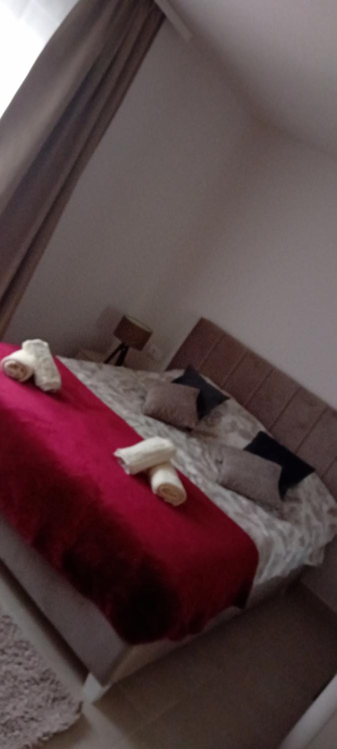 Apartman Bibi centar Apartment in Serbia