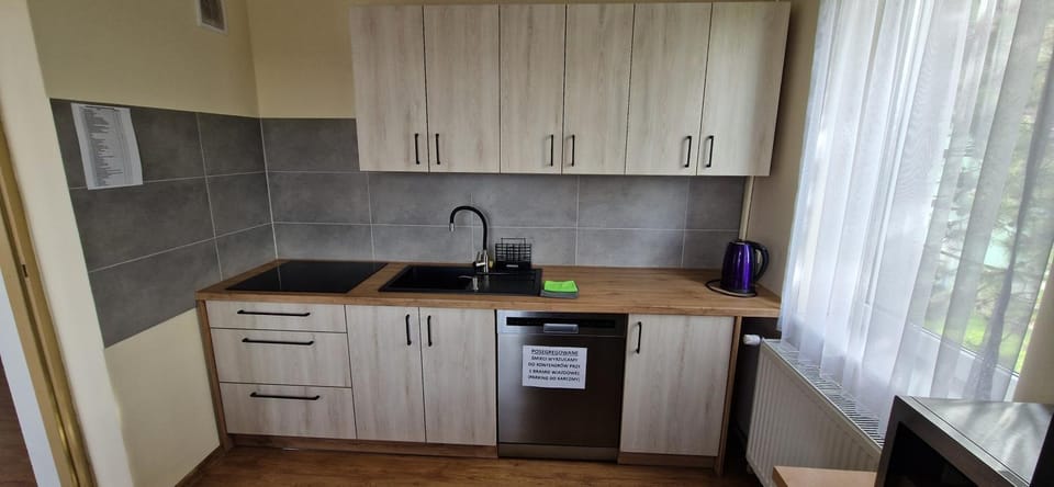 Kitchen or kitchenette, dishwasher, oven, pet friendly, stove
