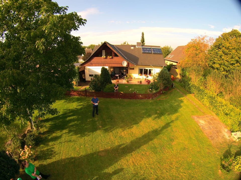 Bird's eye view, Garden, Garden